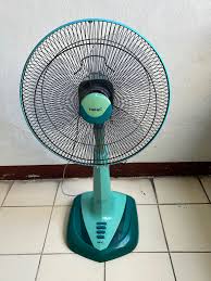 fan